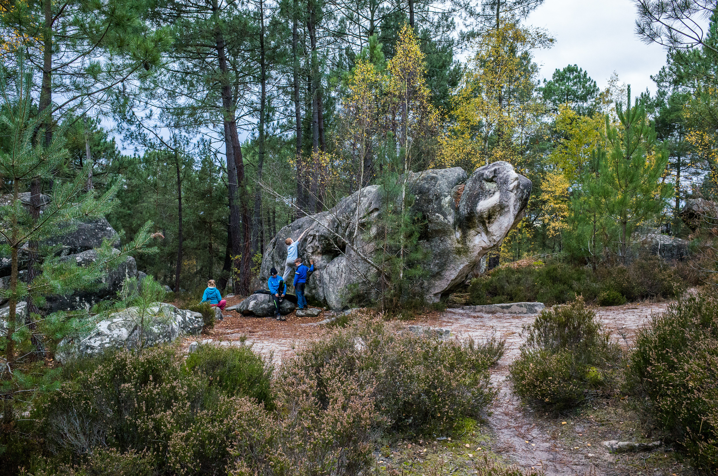 Bouldern Fontainebleau Rocher Fin