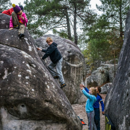 Bouldern Fontainebleau Elephant