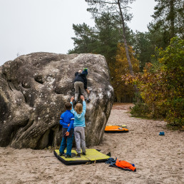 Bouldern Fontainebleau Elephant