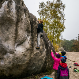 Bouldern Fontainebleau Elephant