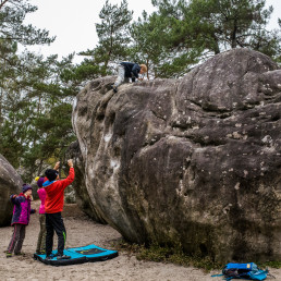 Bouldern Fontainebleau Elephant