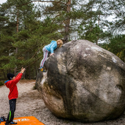 Bouldern Fontainebleau Elephant