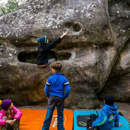 Bouldern Fontainebleau Elephant