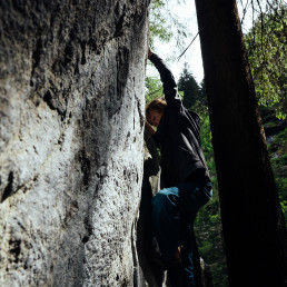 Bouldern im Magic Wood