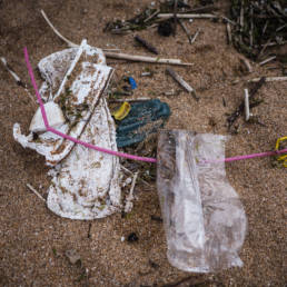 Plastic Ocean