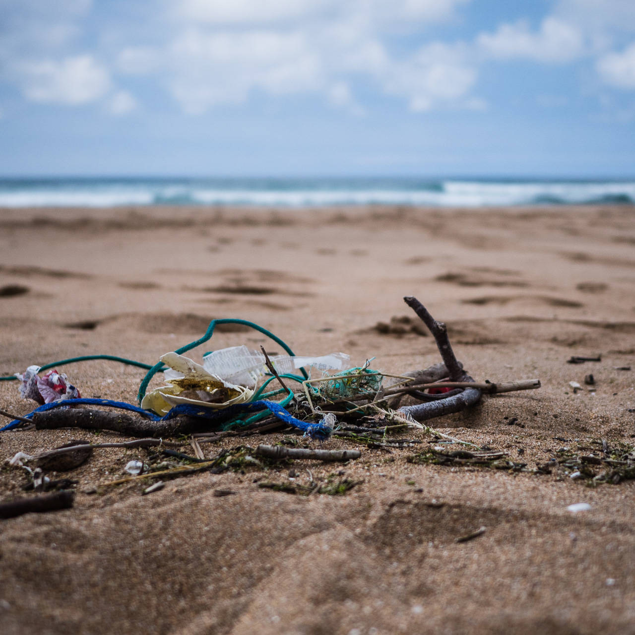 Plastic Ocean