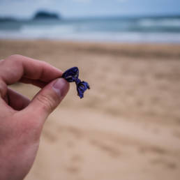 Plastic Ocean
