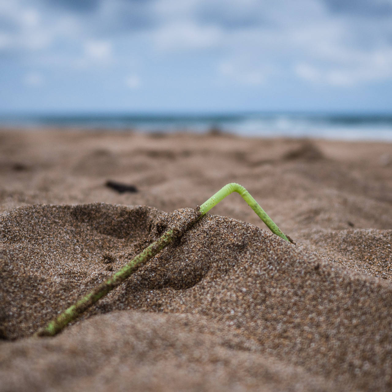 Plastic Ocean