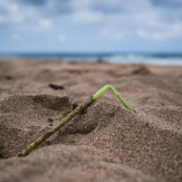 Plastic Ocean