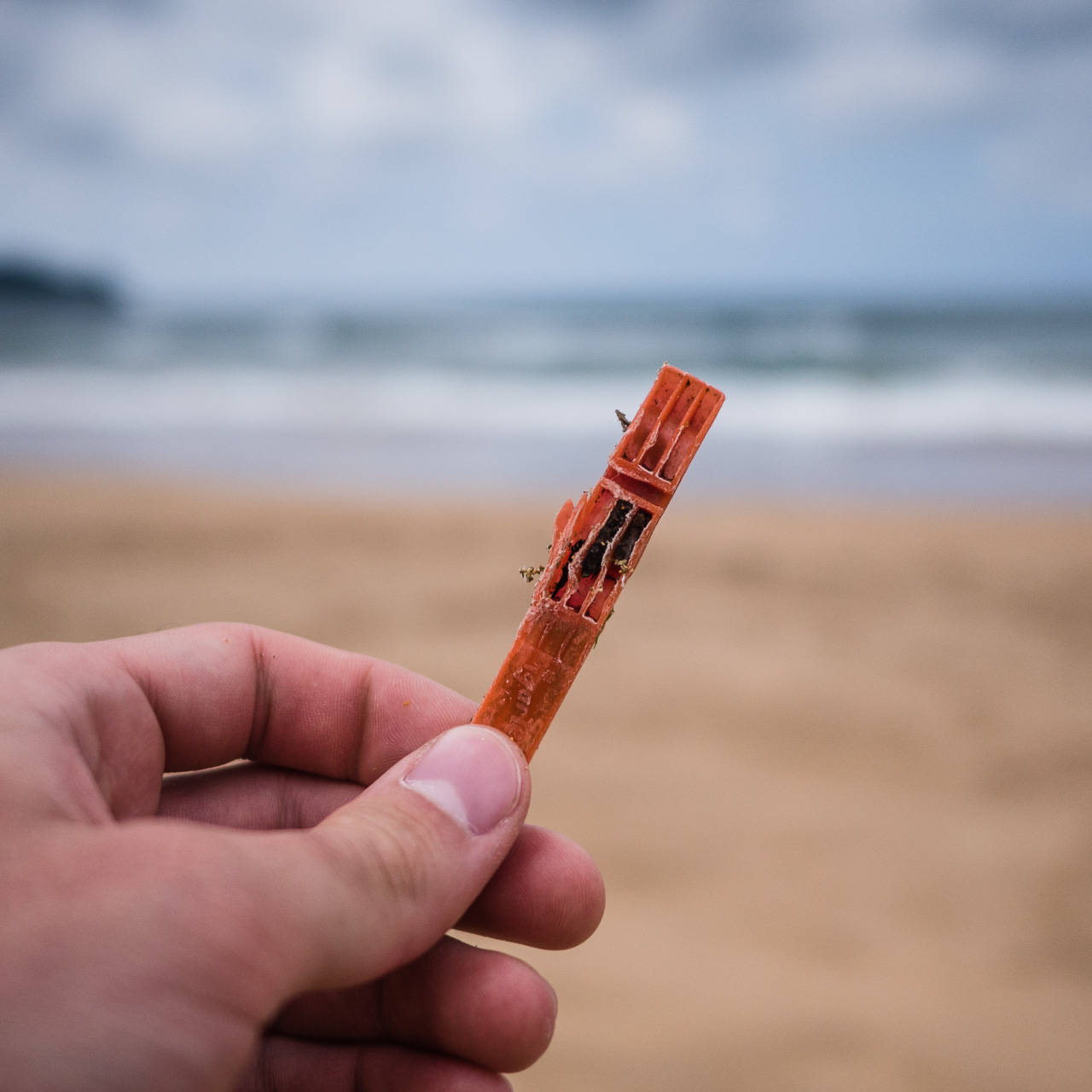 Plastic Ocean