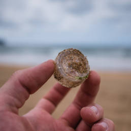 Plastic Ocean