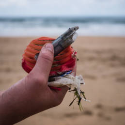 Plastic Ocean