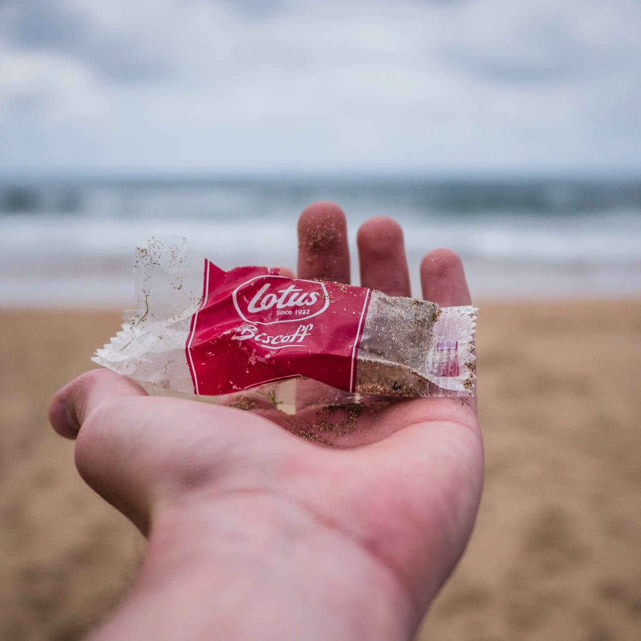 Plastic Ocean
