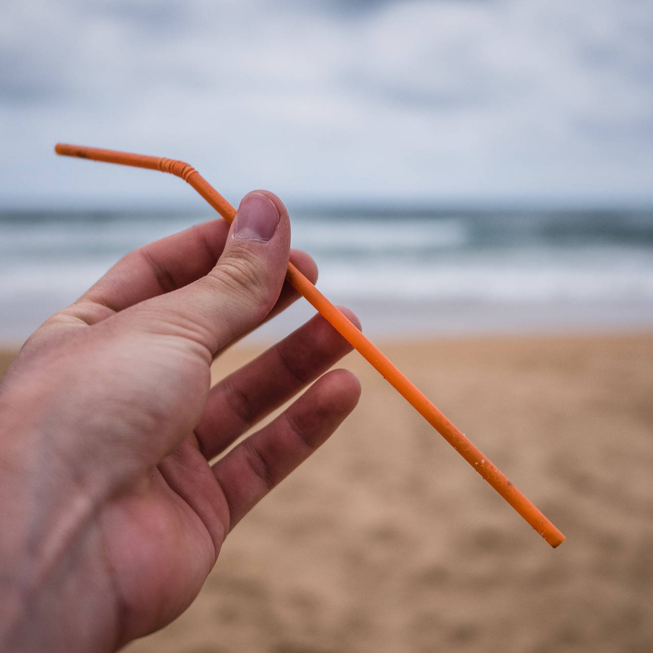 Plastic Ocean