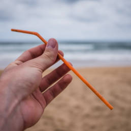 Plastic Ocean