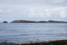 Irland Delfine Donegal
