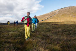 Mourne Wall