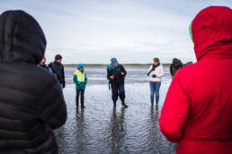 Wangerooge Watt