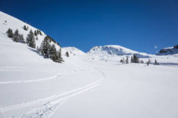 Skitouren Sonnblickbasis Bockhart