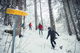 Gründhütte