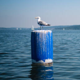 Segeln am Ammersee