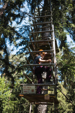 Kletterwald Vaterstetten