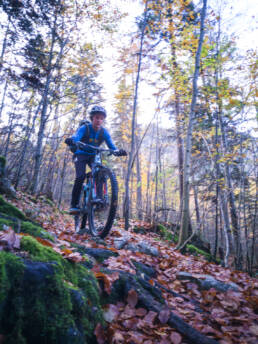 Mountainbike Hütte Hammer Fischbachau