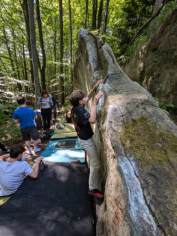 Boulder Corona Wood