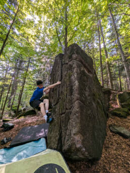 Boulder Corona Wood