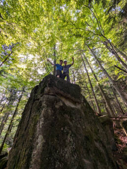 Boulder Corona Wood