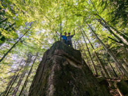 Boulder Corona Wood