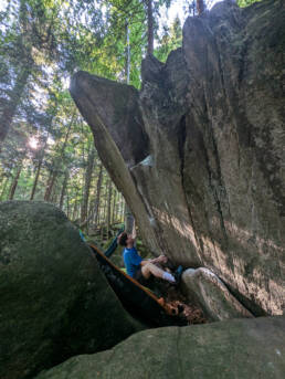 Boulder Corona Wood