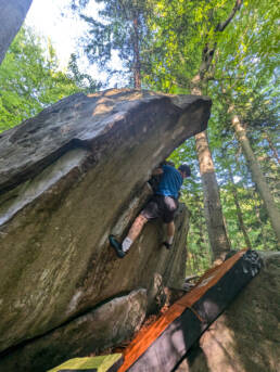 Boulder Corona Wood