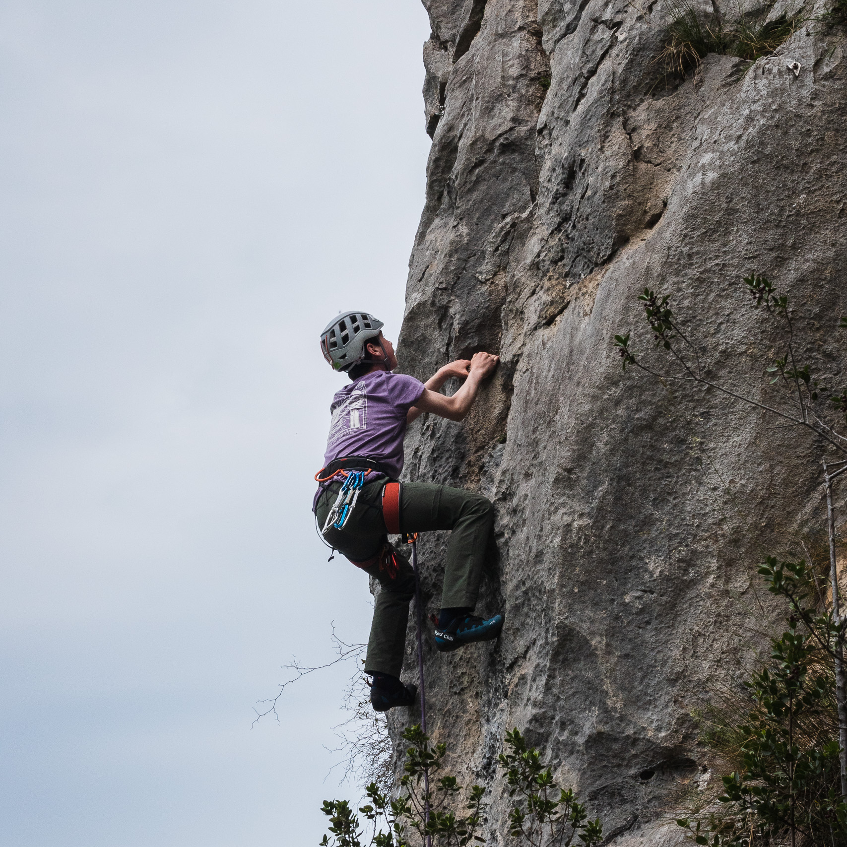 Picos de Europa