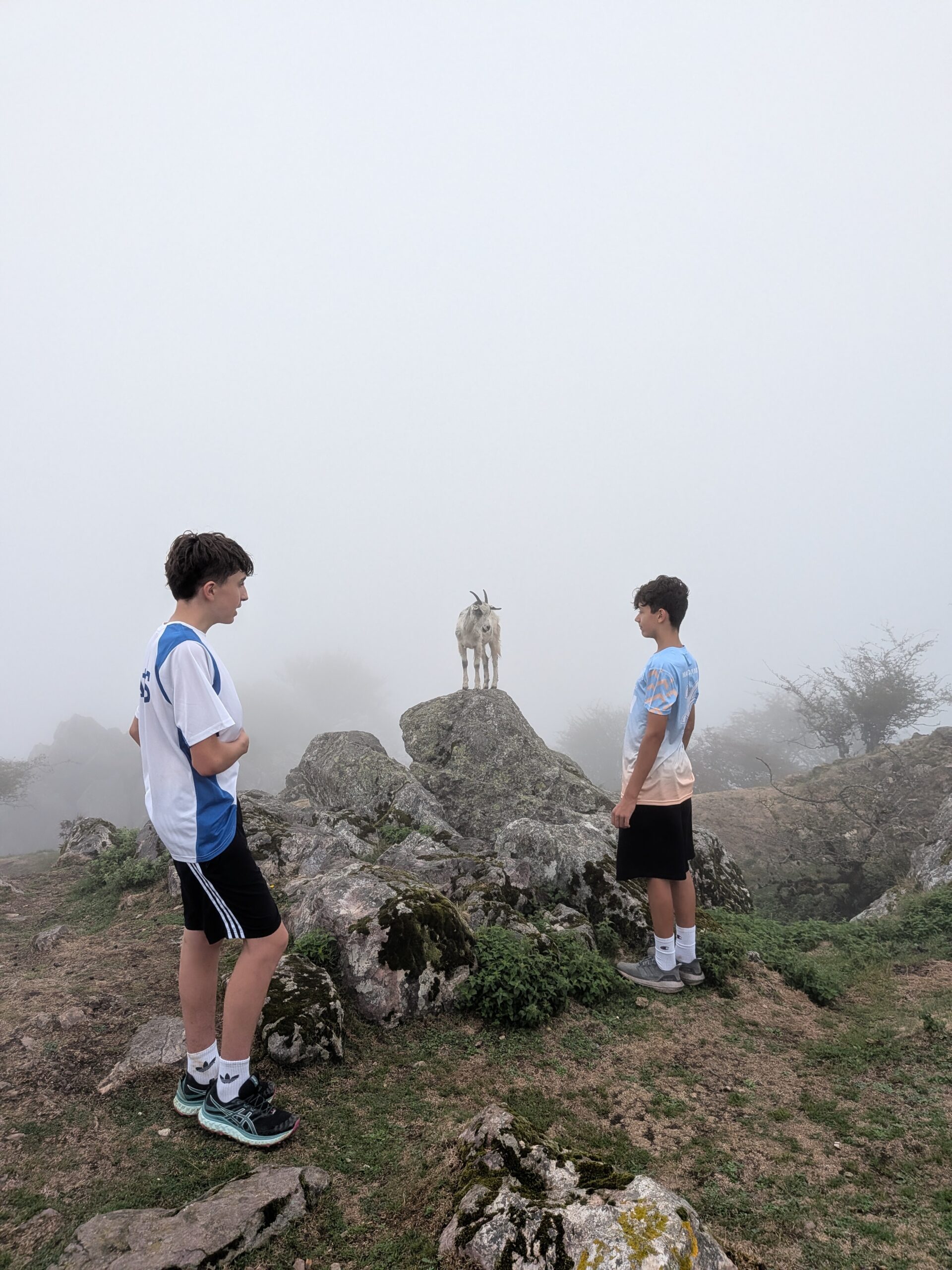 Trailrunnen Pyren&auml;en