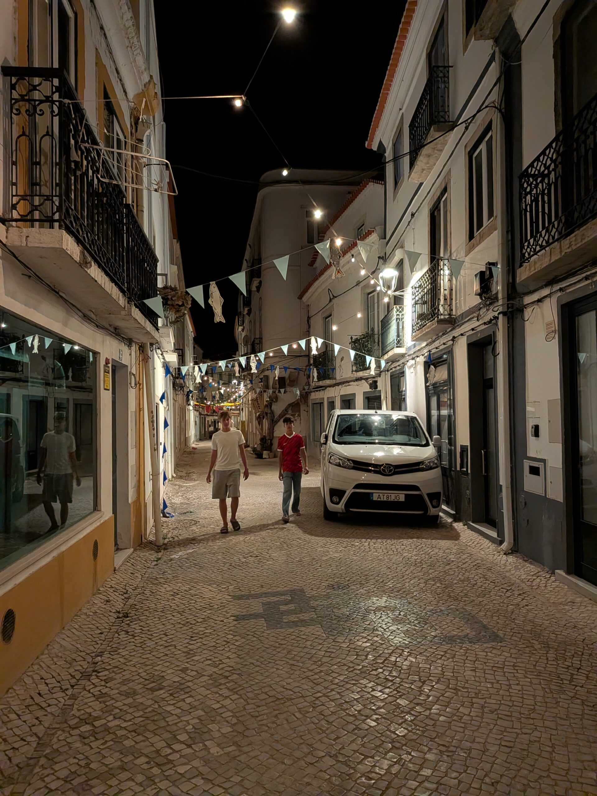 Alc&aacute;cer do Sal